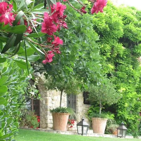 Serola 3*